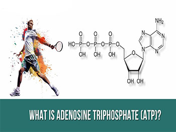 What Is ATP Powder Used For